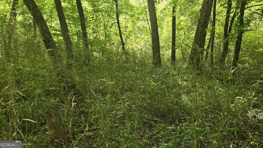 0 Sand Hill RD Bowman, GA 30624