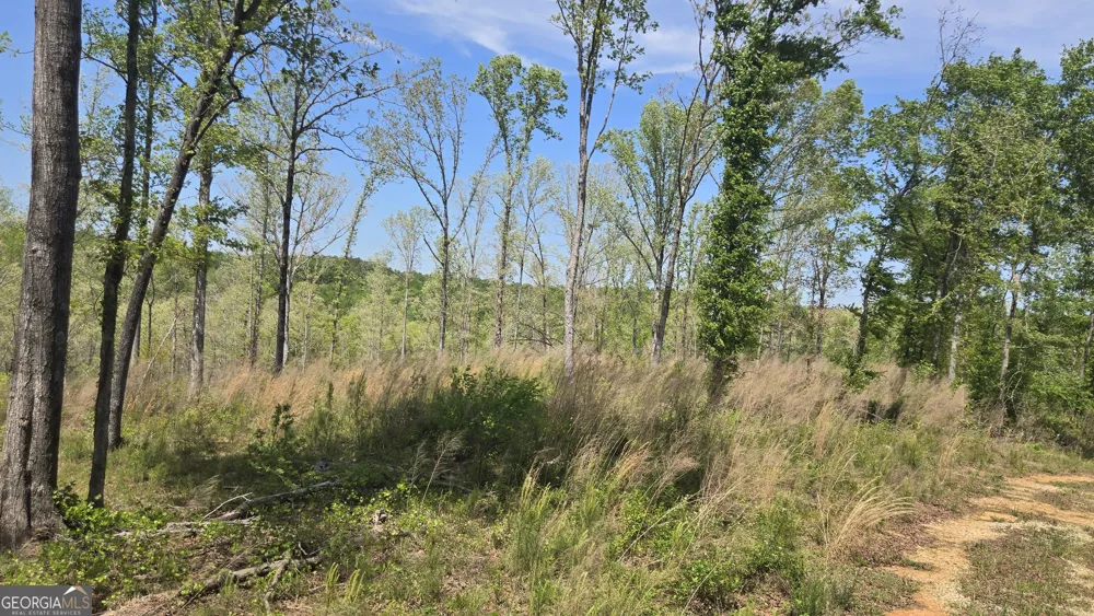0 Sand Hill RD Bowman, GA 30624