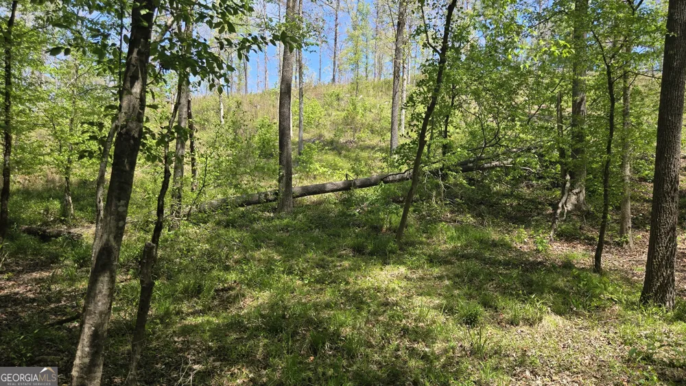 0 Sand Hill RD Bowman, GA 30624