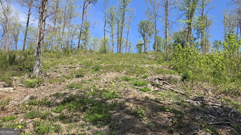 0 Sand Hill RD Bowman, GA 30624