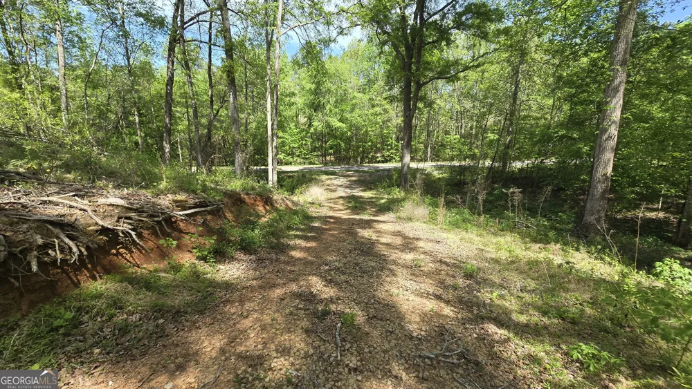 0 Sand Hill RD Bowman, GA 30624