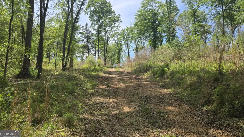 0 Sand Hill RD Bowman, GA 30624