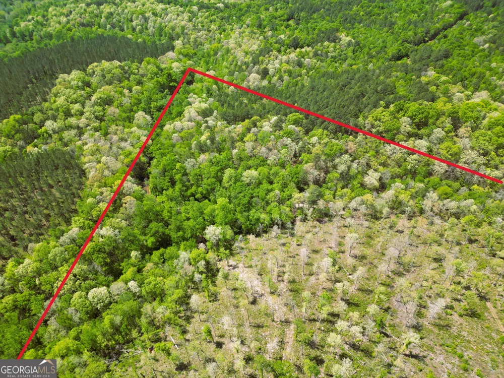 0 Sand Hill RD Bowman, GA 30624