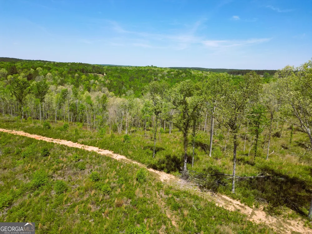 0 Sand Hill RD Bowman, GA 30624