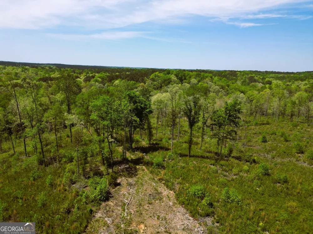 0 Sand Hill RD Bowman, GA 30624
