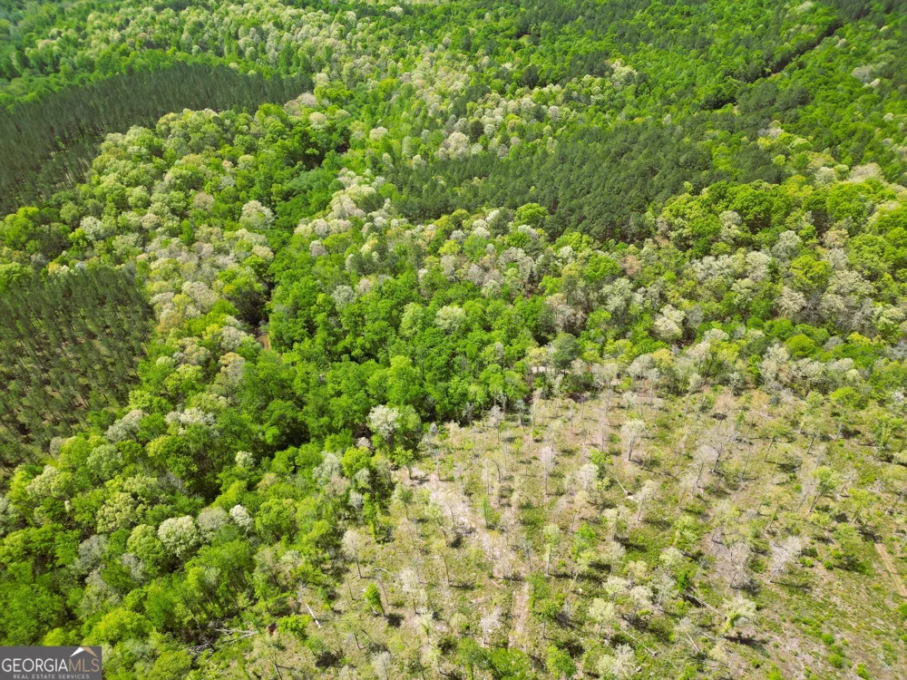 0 Sand Hill RD Bowman, GA 30624