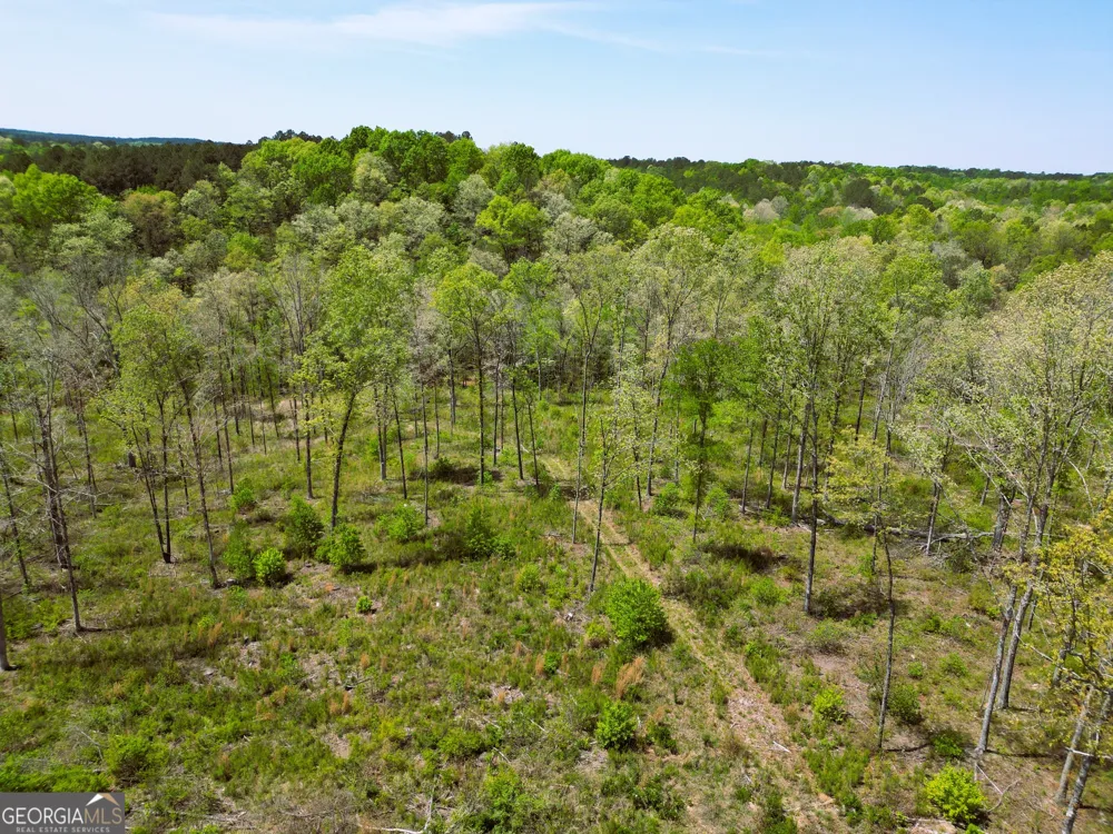 0 Sand Hill RD Bowman, GA 30624