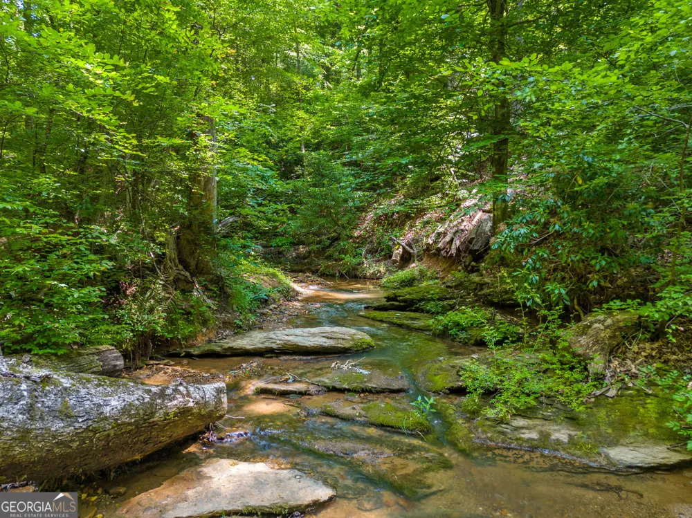 100 AC Mockingbird LN Jasper, GA 30143
