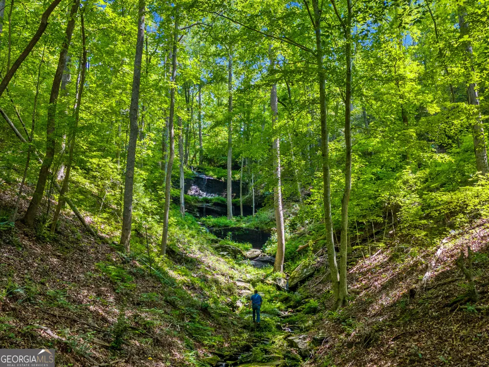 100 AC Mockingbird LN Jasper, GA 30143