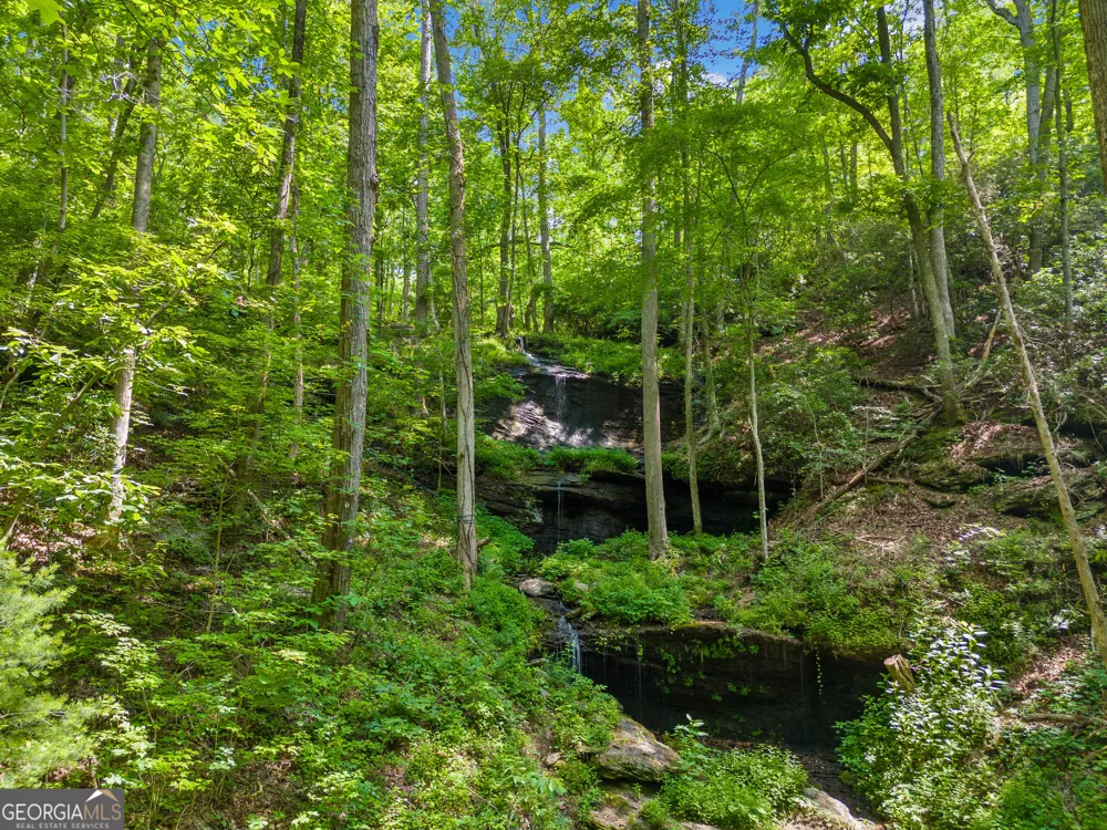 100 AC Mockingbird LN Jasper, GA 30143