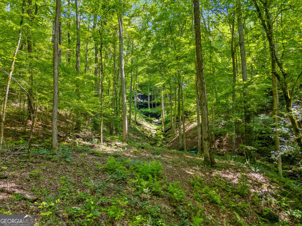 100 AC Mockingbird LN Jasper, GA 30143