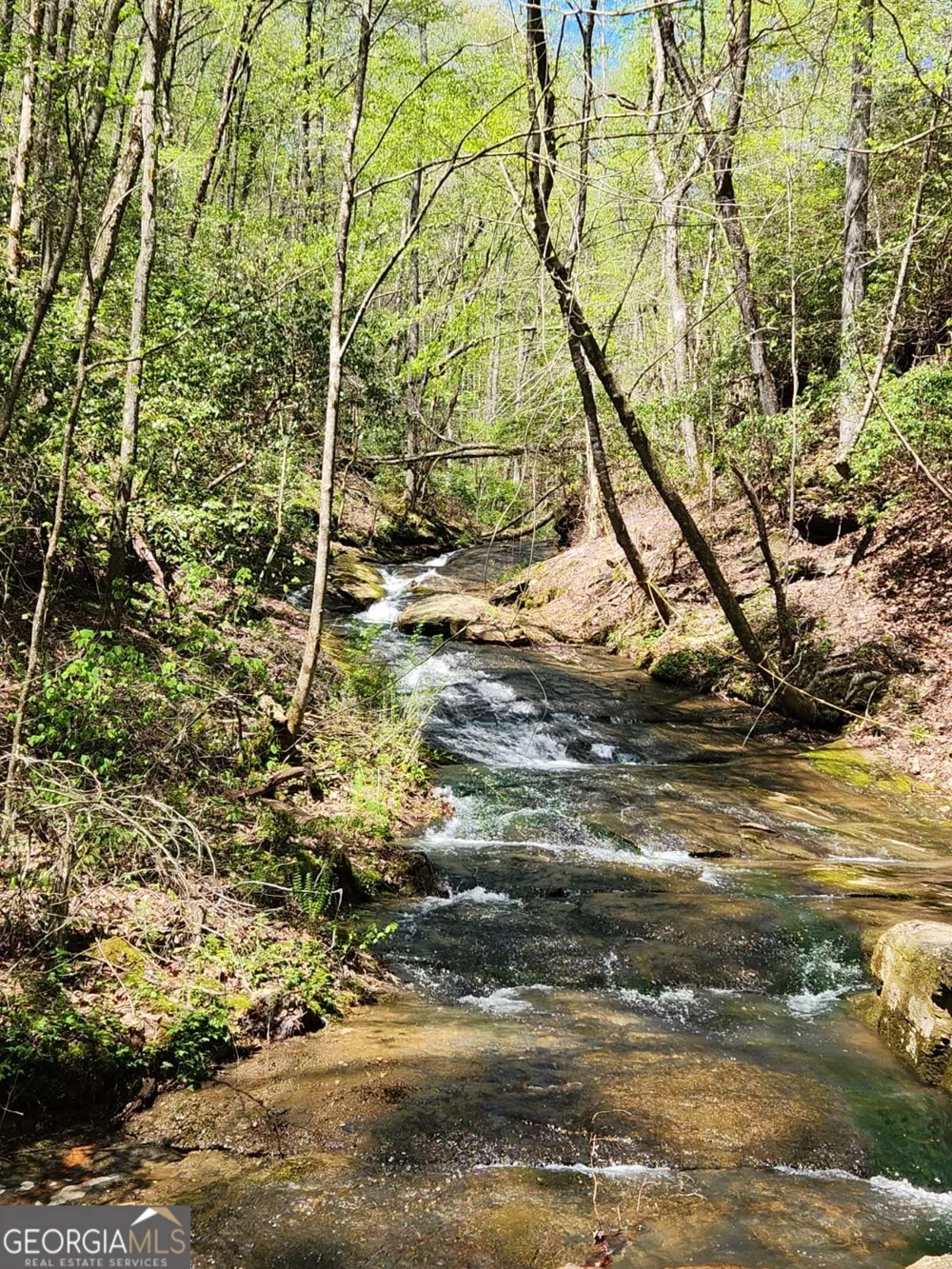100 AC Mockingbird LN Jasper, GA 30143