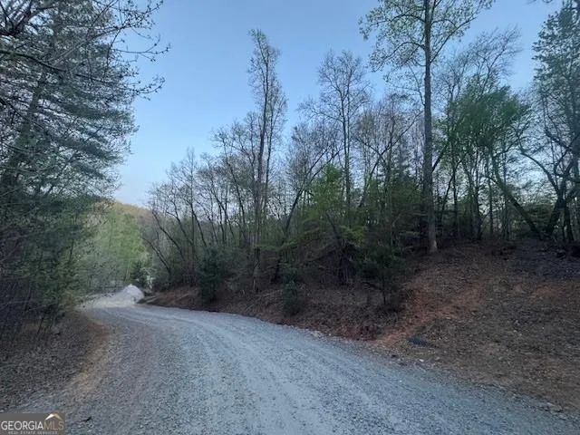 LOT 5 Riverbend Manor Blue Ridge, GA 30513