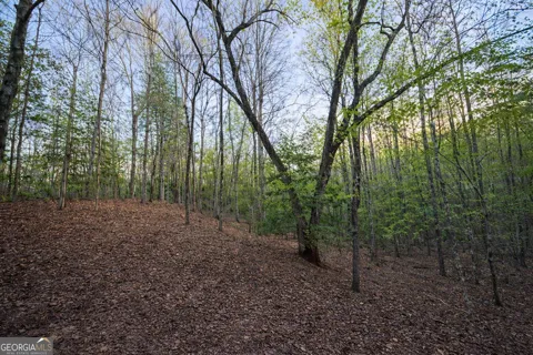 LOT 5 Riverbend Manor