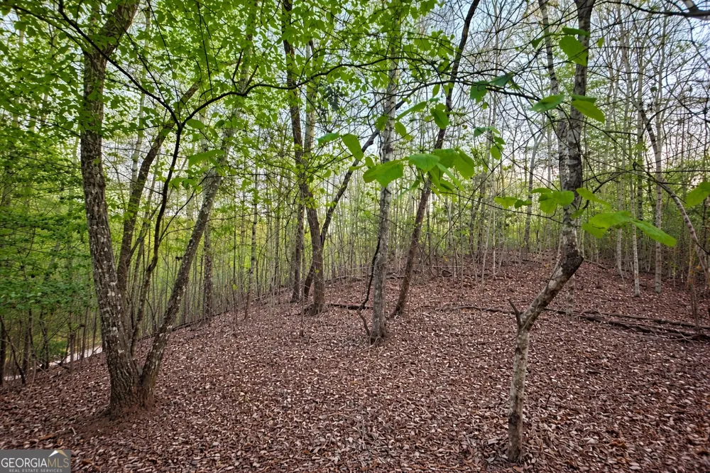LOT 5 Riverbend Manor Blue Ridge, GA 30513