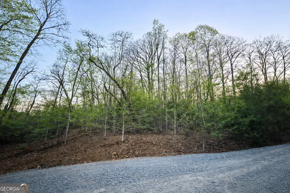 LOT 5 Riverbend Manor Blue Ridge, GA 30513