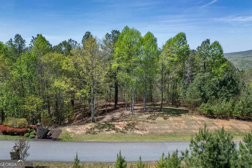LOT 253 The Cove @ 1300 Blairsville, GA 30512