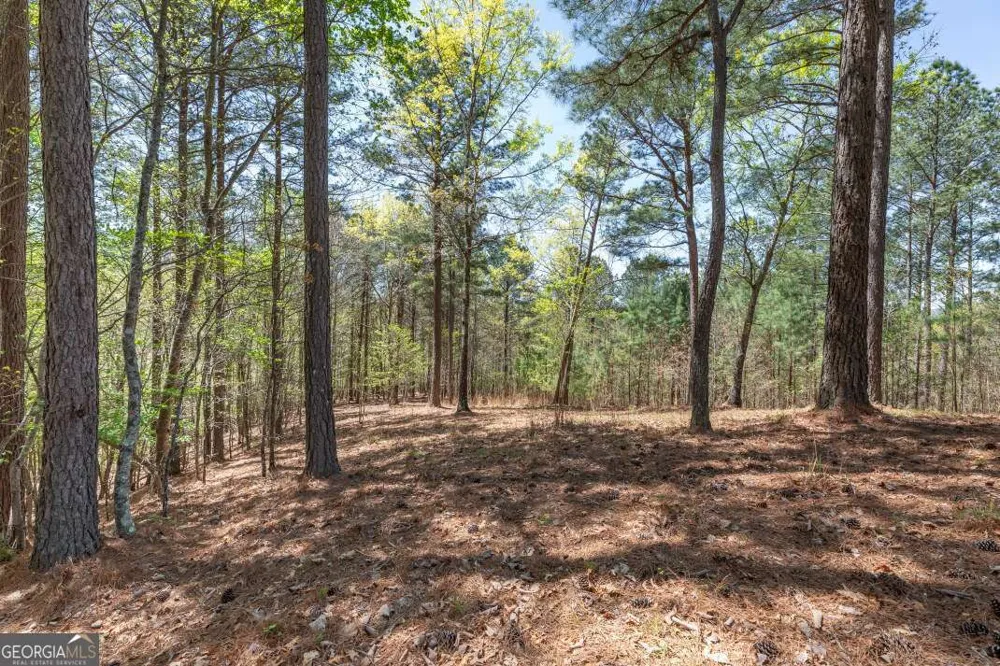 LOT 253 The Cove @ 1300 Blairsville, GA 30512