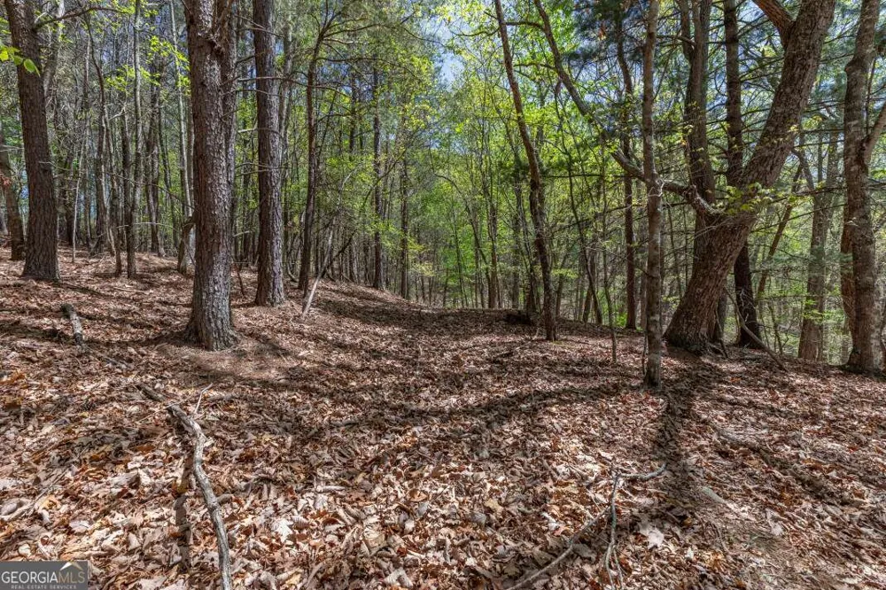 LOT 253 The Cove @ 1300 Blairsville, GA 30512