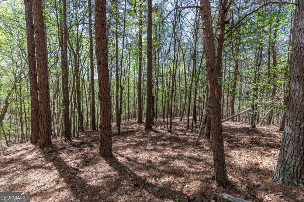 LOT 253 The Cove @ 1300 Blairsville, GA 30512