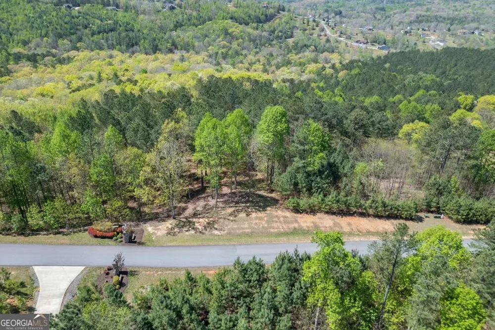 LOT 253 The Cove @ 1300 Blairsville, GA 30512