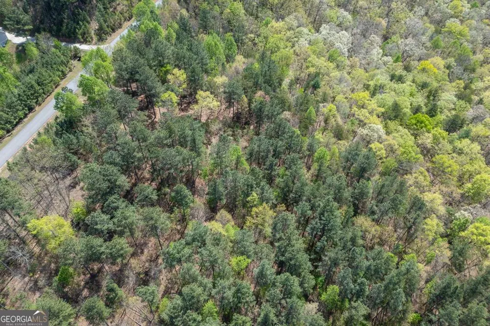 LOT 253 The Cove @ 1300 Blairsville, GA 30512