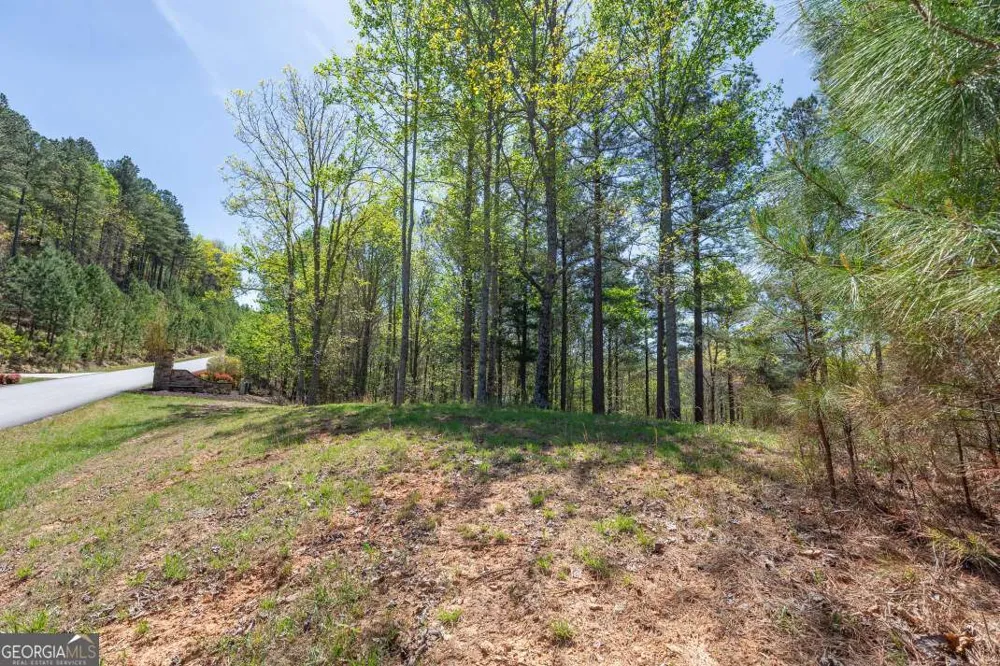 LOT 253 The Cove @ 1300 Blairsville, GA 30512
