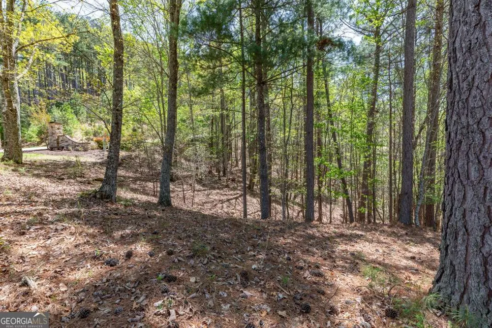 LOT 253 The Cove @ 1300 Blairsville, GA 30512