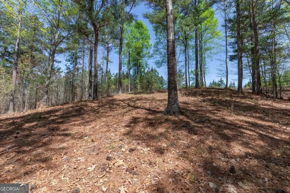 LOT 253 The Cove @ 1300 Blairsville, GA 30512