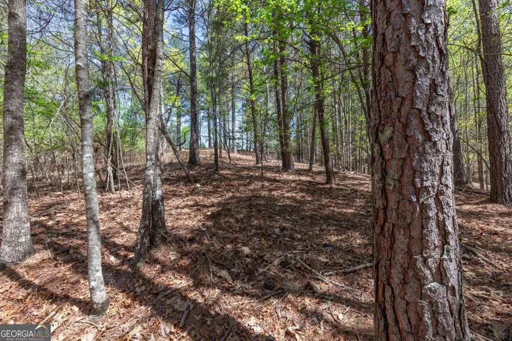 LOT 253 The Cove @ 1300 Blairsville, GA 30512