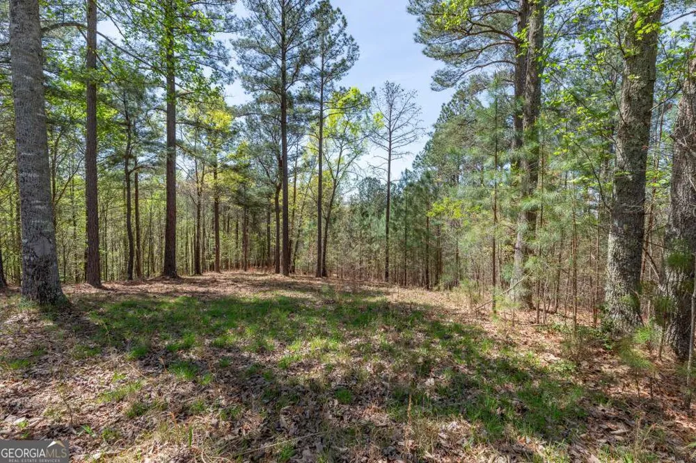 LOT 253 The Cove @ 1300 Blairsville, GA 30512