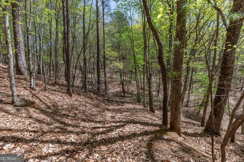 LOT 253 The Cove @ 1300 Blairsville, GA 30512