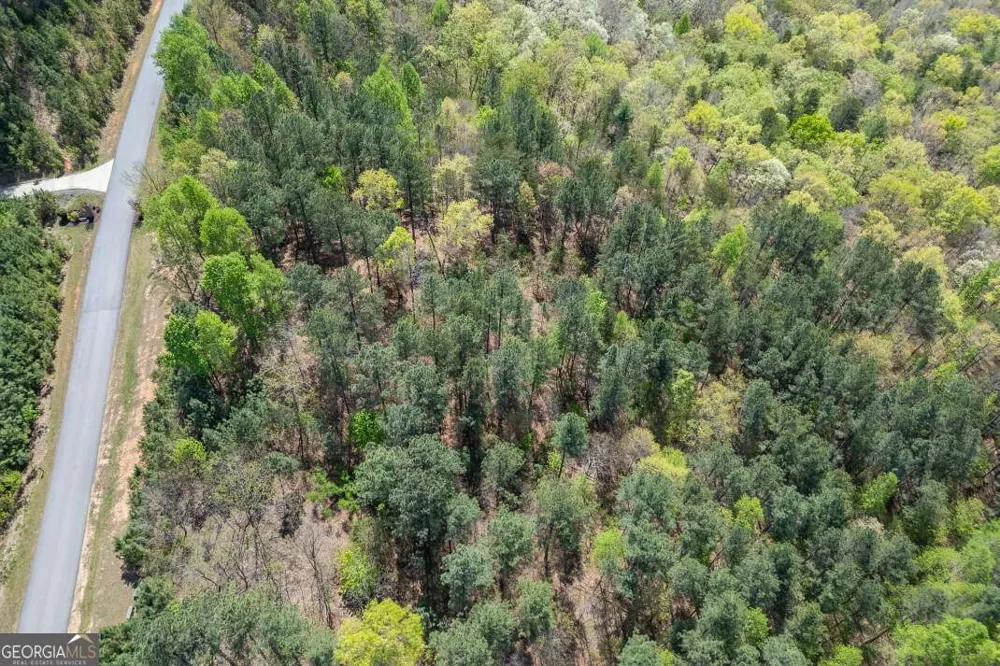 LOT 253 The Cove @ 1300 Blairsville, GA 30512