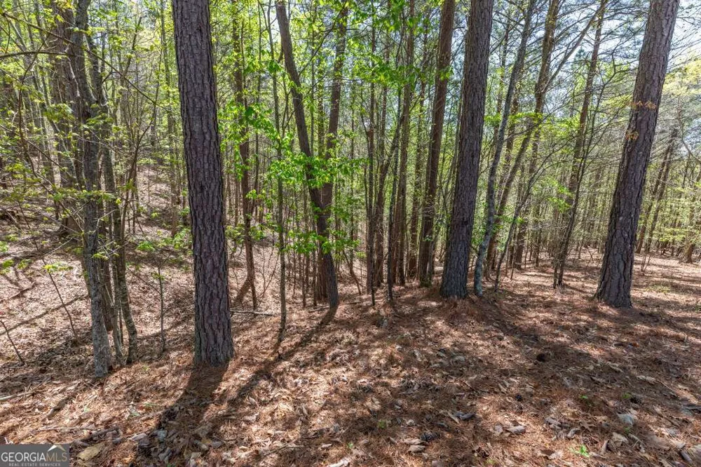 LOT 253 The Cove @ 1300 Blairsville, GA 30512