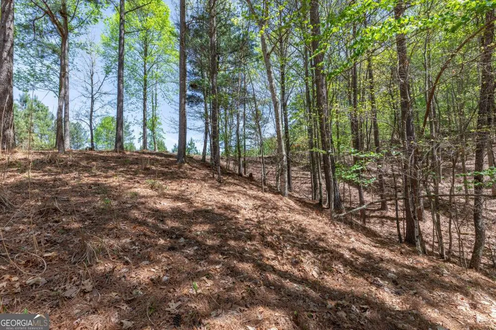 LOT 253 The Cove @ 1300 Blairsville, GA 30512