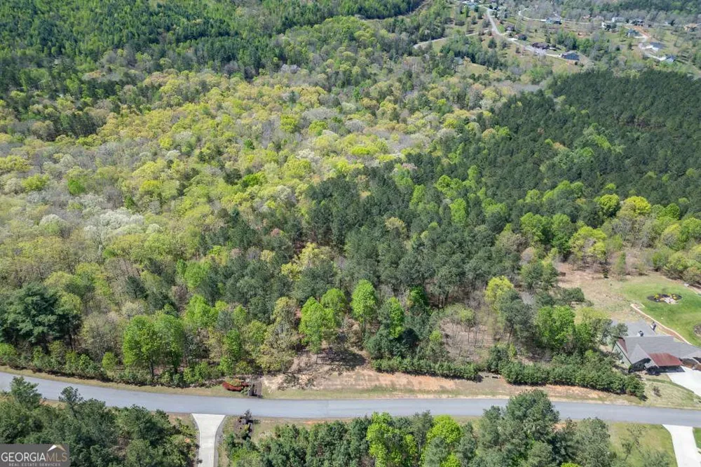 LOT 253 The Cove @ 1300 Blairsville, GA 30512