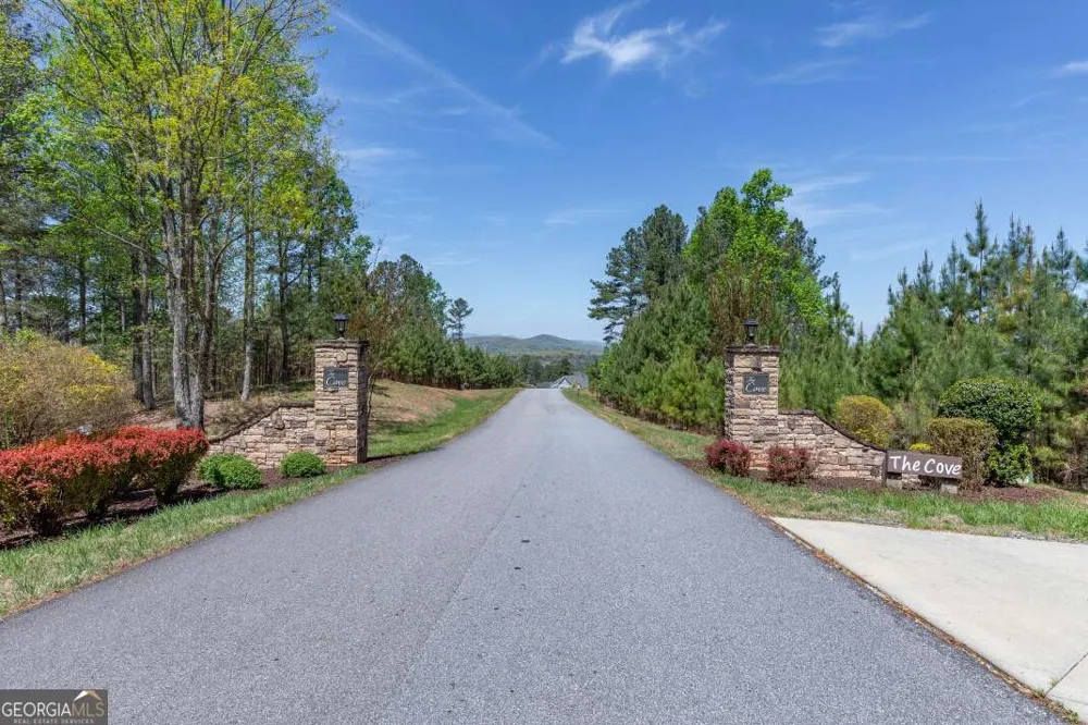 LOT 253 The Cove @ 1300 Blairsville, GA 30512