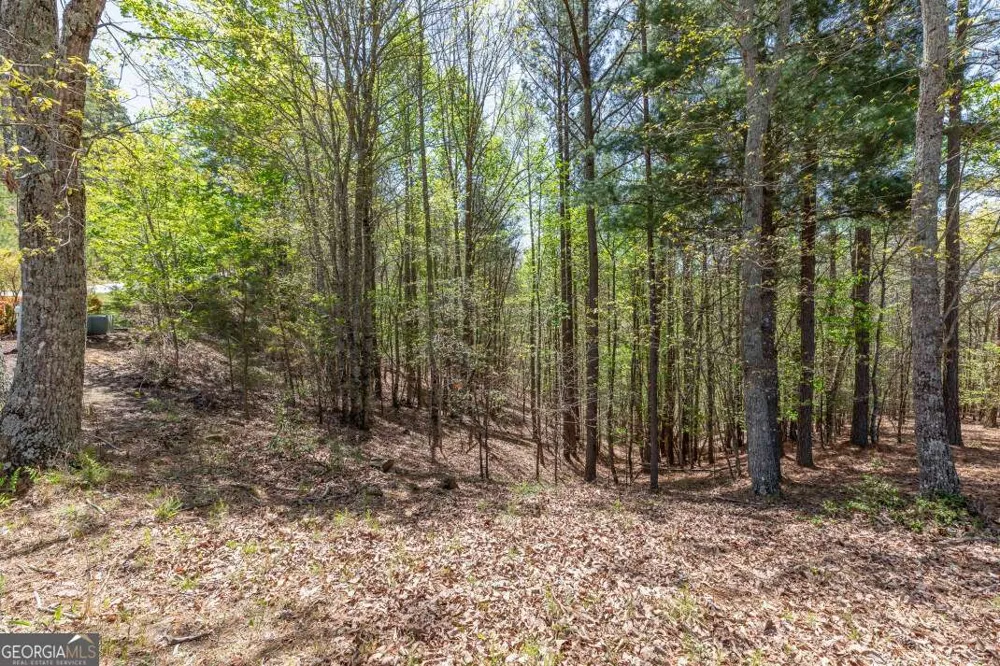 LOT 253 The Cove @ 1300 Blairsville, GA 30512