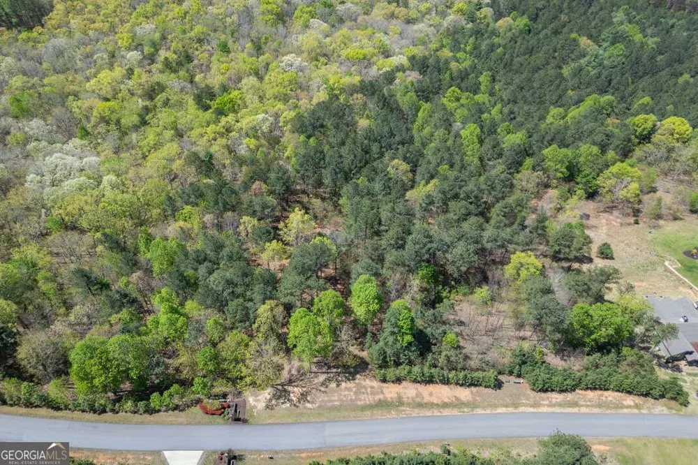 LOT 253 The Cove @ 1300 Blairsville, GA 30512