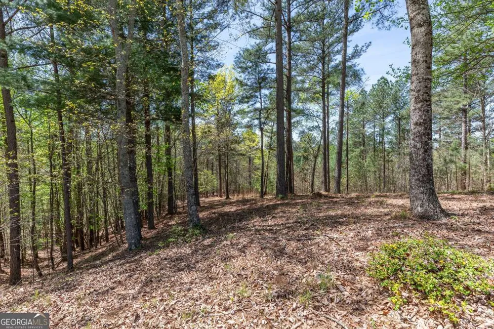 LOT 253 The Cove @ 1300 Blairsville, GA 30512