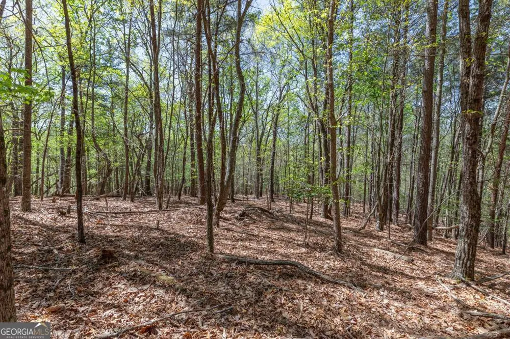 LOT 253 The Cove @ 1300 Blairsville, GA 30512