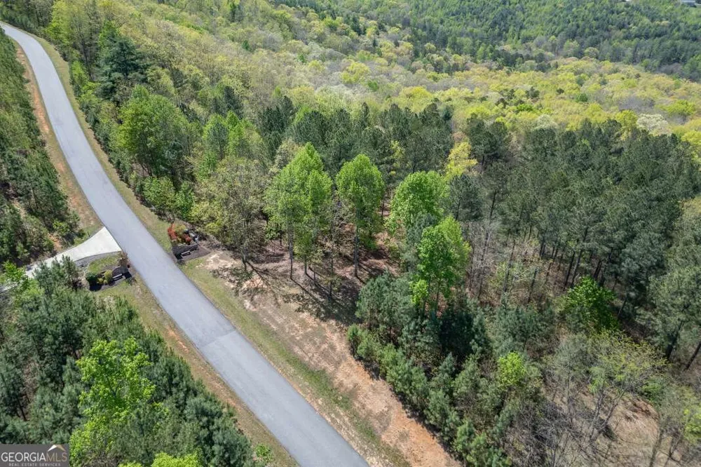 LOT 253 The Cove @ 1300 Blairsville, GA 30512