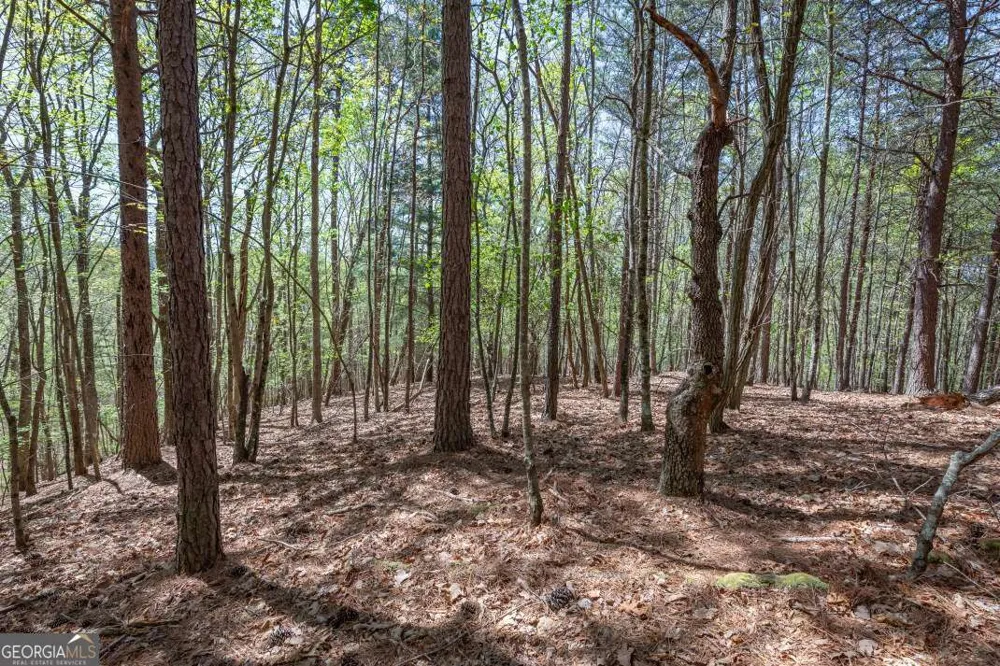 LOT 253 The Cove @ 1300 Blairsville, GA 30512