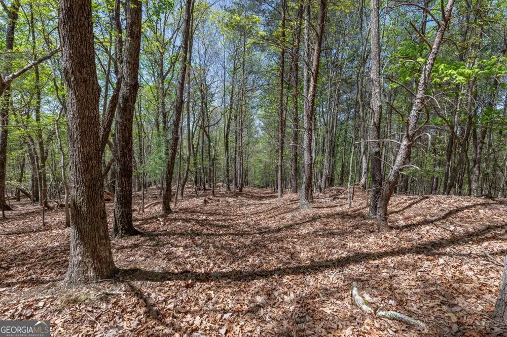 LOT 253 The Cove @ 1300 Blairsville, GA 30512