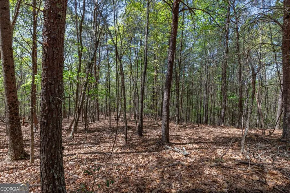 LOT 253 The Cove @ 1300 Blairsville, GA 30512