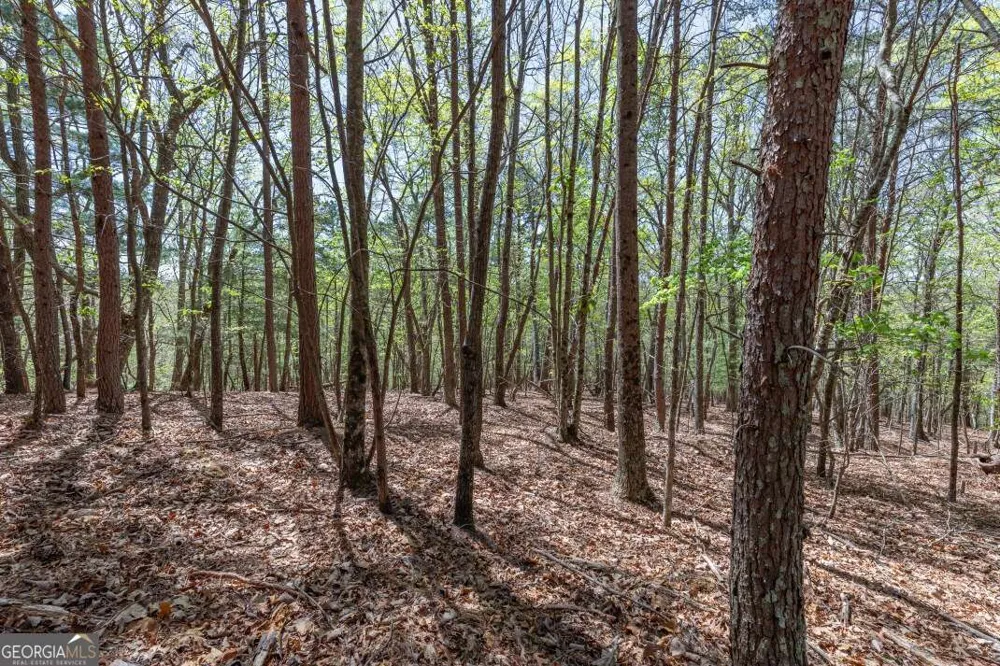 LOT 253 The Cove @ 1300 Blairsville, GA 30512