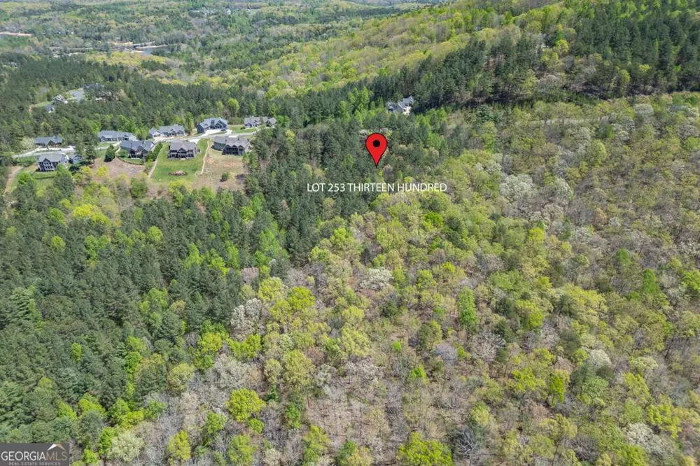 LOT 253 The Cove @ 1300 Blairsville, GA 30512