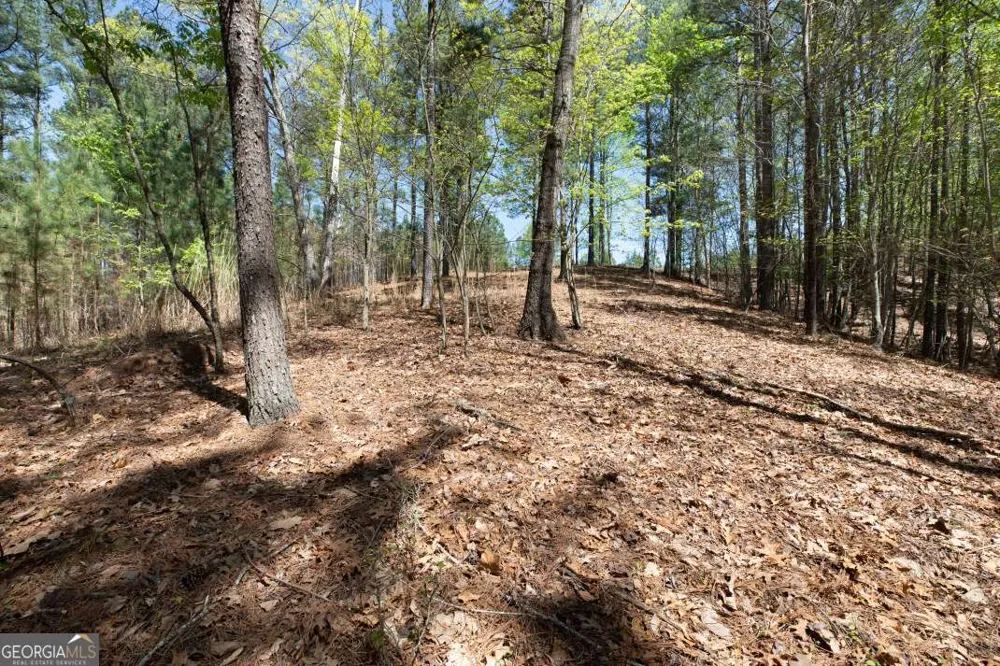 LOT 253 The Cove @ 1300 Blairsville, GA 30512