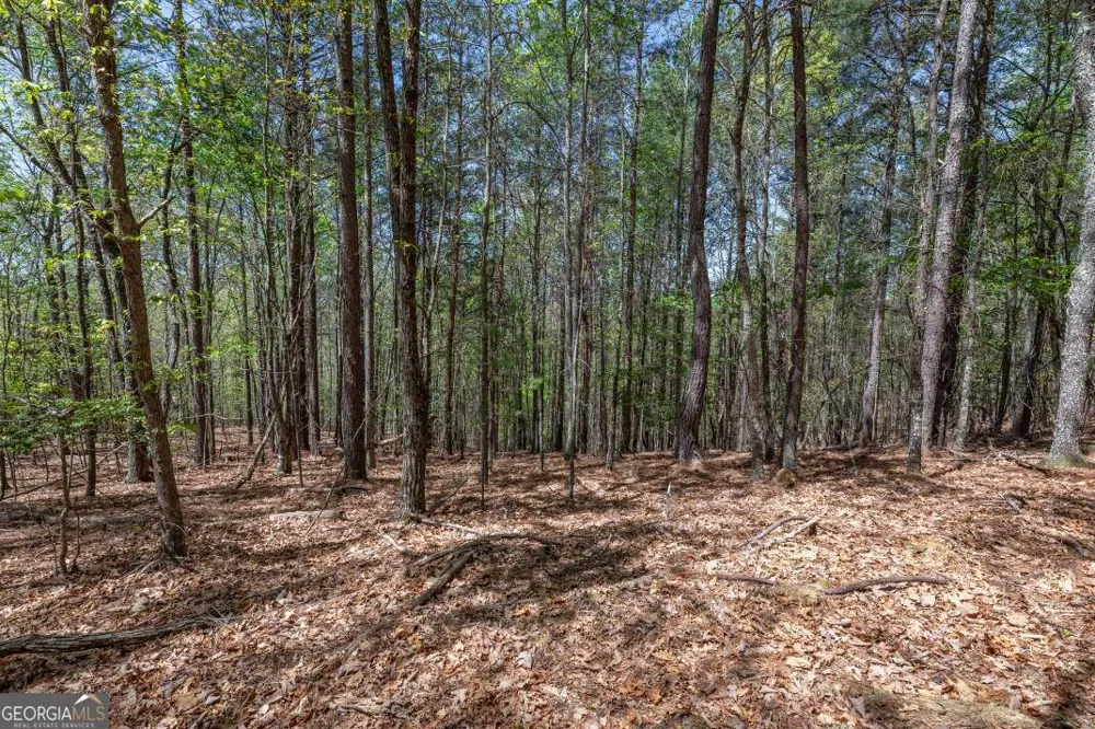 LOT 253 The Cove @ 1300 Blairsville, GA 30512