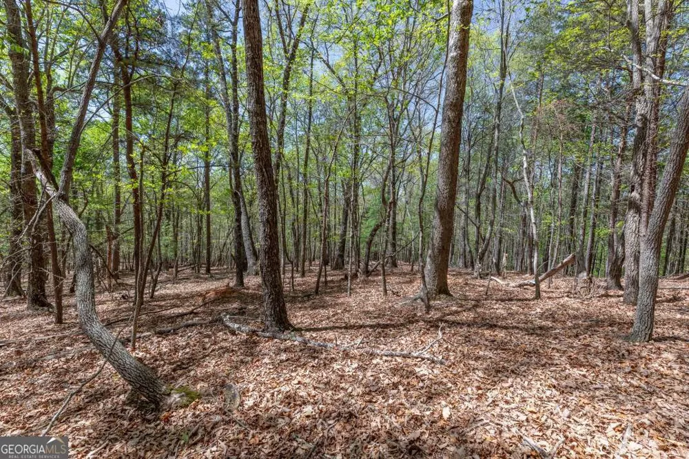 LOT 253 The Cove @ 1300 Blairsville, GA 30512